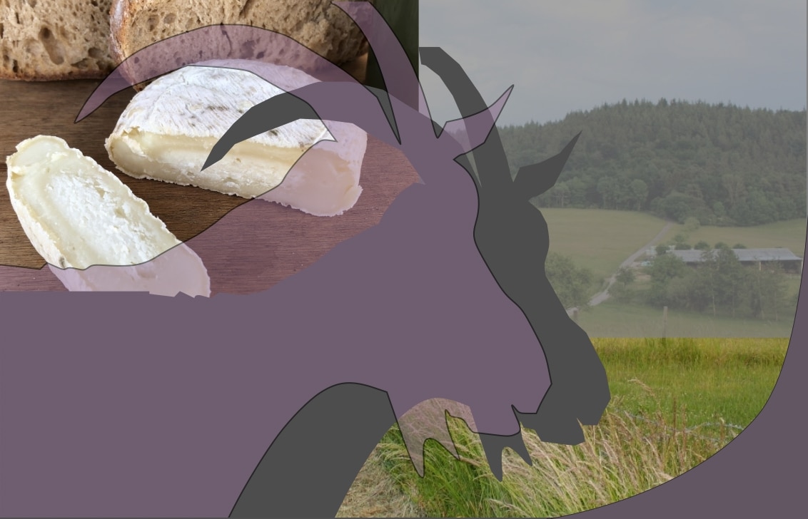 Delicious German goat cheese